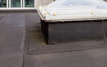 disadvantages of Dodmarsh flat roofs