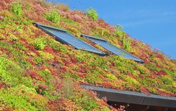 Dodmarsh living roof systems