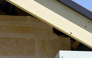 soffit repair Dodmarsh